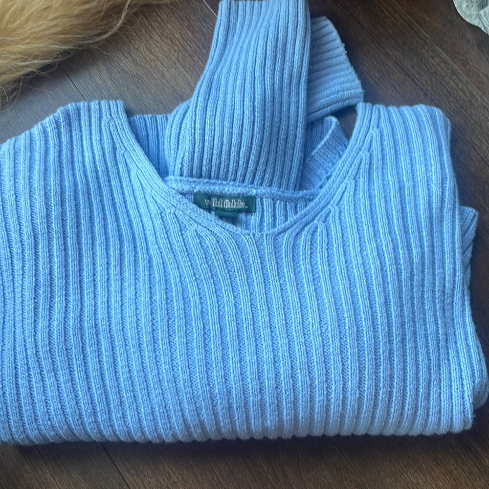 light blue wild fable long sleeve